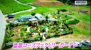 2016年４５６趣味の園芸・雄勝花物語の紹介 007